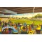 Wetherby Road Stadium Fine Art Print - Harrogate Town AFC